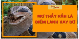 Mơ thấy rắn là điềm lành hay dữ