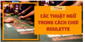 Các thuật ngữ trong cách chơi roulette MU88