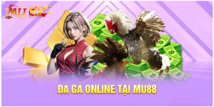 đá gà online mu88